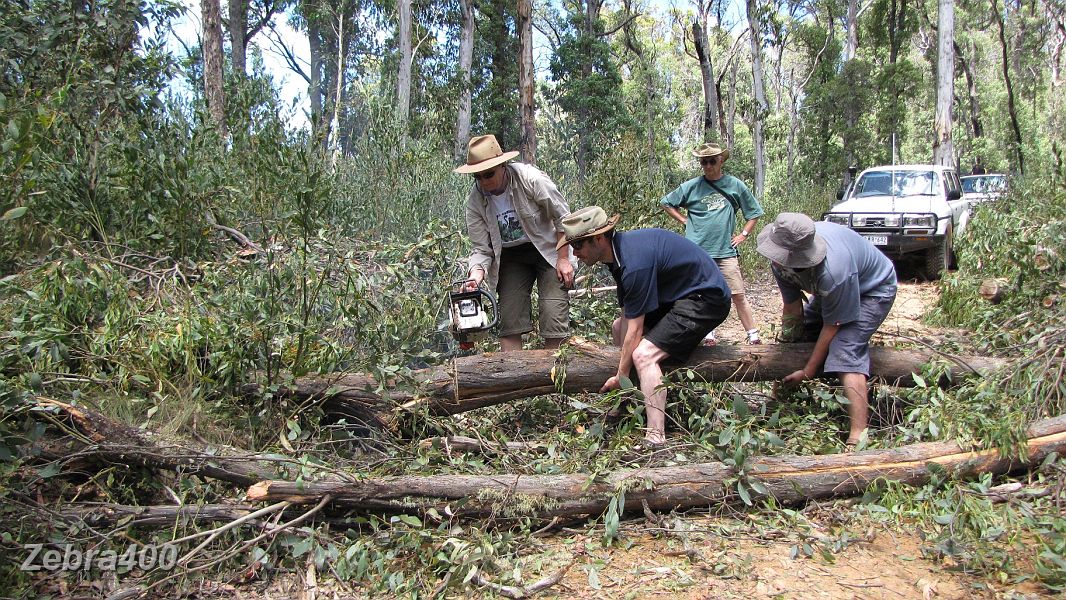 07-Mark & Dave do the hard yards while Reg oversees!.JPG